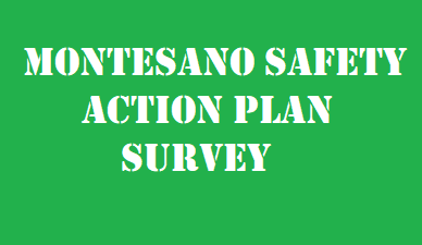 Montesano Safety Action Plan Survey 2024